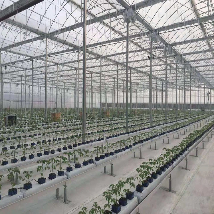 Agricultural yas zaj duab xis tsev cog khoom
